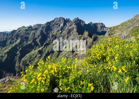 Portugal, Madeira island, hike between Pico Ruivo and Pico Arieiro Stock Photo