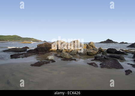 Old school Net fishing at Kudle beach in Gokarna, India Stock Photo - Alamy