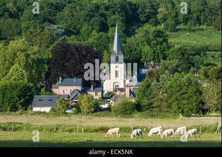 France, Eure, Le Bec Hellouin, Saint Andrew church Stock Photo