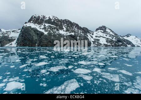 South Atlantic Ocean, South Georgia Island, fjord landscape Stock Photo