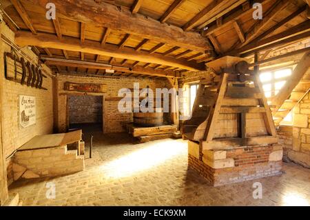 France, Ardennes, Launois sur Vence, horses' post office dating from the 17th century, Cave home - old Cider reserve Stock Photo