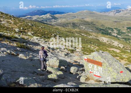 France, Corse du Sud, hiking on the GR 20, between Asinau refuge and Bassetta Sheepfold, down to Coscione plateau Stock Photo