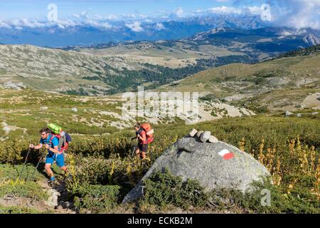 France, Corse du Sud, hiking on the GR 20, between Asinau refuge and Bassetta Sheepfold Stock Photo