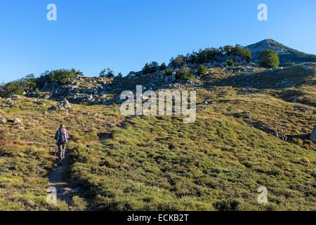 France, Corse du Sud, hiking on the GR 20, between Bassetta Sheepfold and Usciolu refuge Stock Photo
