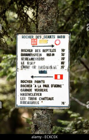 France Haut Rhin Thannenkirch Taennchel Mountain Rocher Des france-haut-rhin-thannenkirch-taennchel-mountain-rocher-des