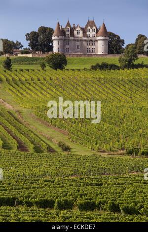 France, Dordogne, Perigord Pourpre, Monbazillac vineyards and 16th century castle in the background Stock Photo