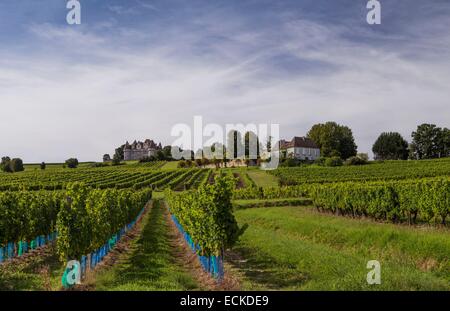 France, Dordogne, Perigord Pourpre, Monbazillac vineyards and 16th century castle in the background Stock Photo