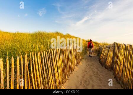 France, Manche, Cotentin, Cap de la Hague, Biville dunes massif, one of the oldest in Europe, is a protected nature reserve Stock Photo