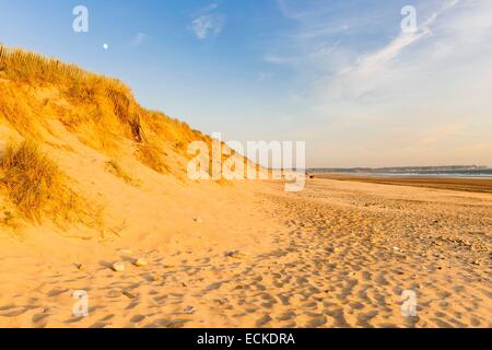 France, Manche, Cotentin, Cap de la Hague, Biville dunes massif, one of the oldest in Europe, is a protected nature reserve Stock Photo