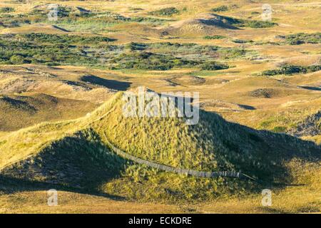 France, Manche, Cotentin, Cap de la Hague, Biville dunes massif, one of the oldest in Europe, is a protected nature reserve Stock Photo