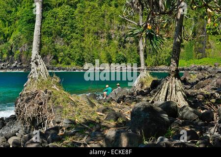 France, Reunion Island (French overseas department), Parc National de la Reunion (National Park of la Reunion), listed as World Heritage by UNESCO, natural green landscape marine, fishing on a rocky beach at the water's edge in a lush tropical greenery Stock Photo