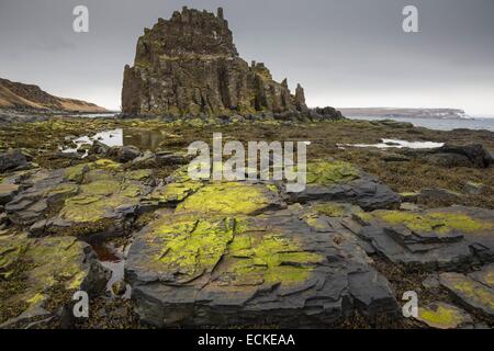 Iceland, Nordhurland, Vatnsnes Peninsula, cliffs at Anastadastapi Stock Photo