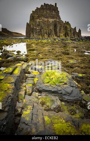 Iceland, Nordhurland, Vatnsnes Peninsula, cliffs at Anastadastapi Stock Photo