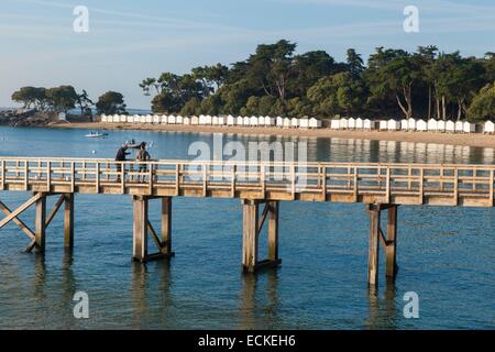 France, Vendee, Ile de Noirmoutier, Bois de la Chaise, wooden footbridge Stock Photo