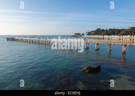 France, Vendee, Ile de Noirmoutier, Bois de la Chaise, wooden footbridge Stock Photo