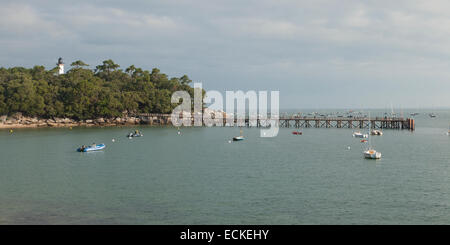 France, Vendee, Ile de Noirmoutier, Bois de la Chaise, wooden footbridge Stock Photo