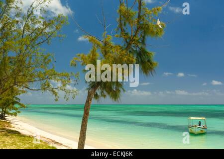 Mauritius, Rodrigues Island, ile aux Cocos (Cocos island), beach lagoon, white bird perched on a branch overlooking a white sand beach Stock Photo