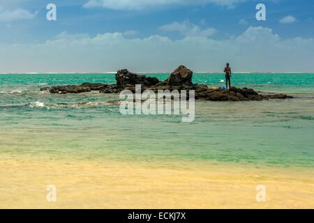 Rodrigues Octopus octopus, Mauritius, Africa, Indian Ocean / (Octopus vulgaris Stock ...