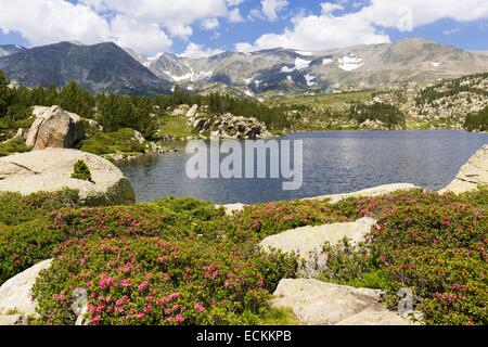 France, Pyrenees Orientales, Les Angles, Comassa lake Stock Photo