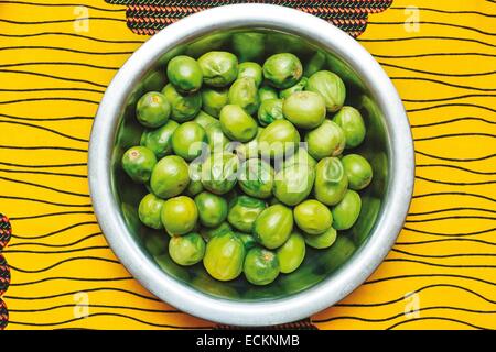 Burkina Faso, Bobo Dioulasso, Toussiana, women's cooperative, shea fruit Stock Photo