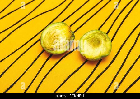 Burkina Faso, Bobo Dioulasso, Toussiana, women's cooperative, shea fruit Stock Photo