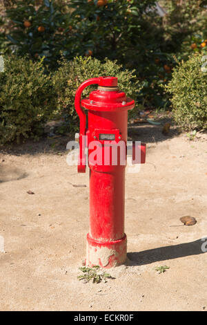 red colored fire hydrant in a outdoor Stock Photo