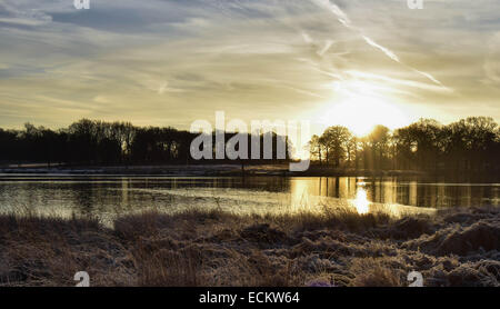 The dawn seen from Richmond Park in Surrey.Where dozens of deer roam freely undisturbed by everything going on around them. Stock Photo