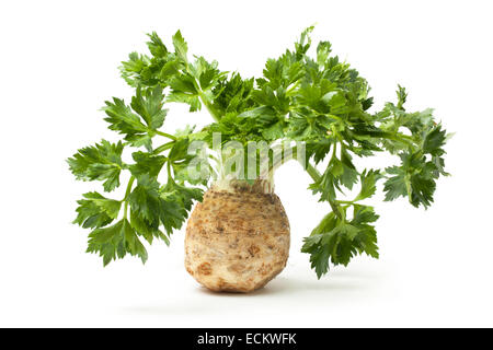 Celery leafs with root isolated on white. Stock Photo