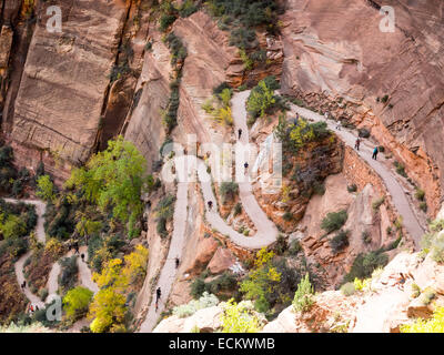 Path to Angels Landing in Zion national park Stock Photo