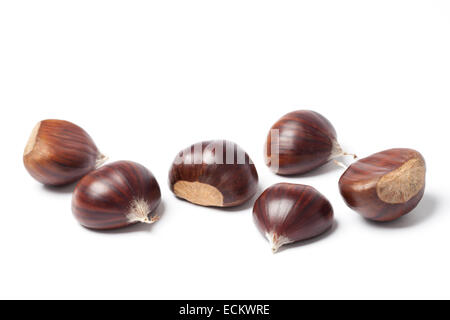Six unroasted chestnuts isolated on white background. Stock Photo