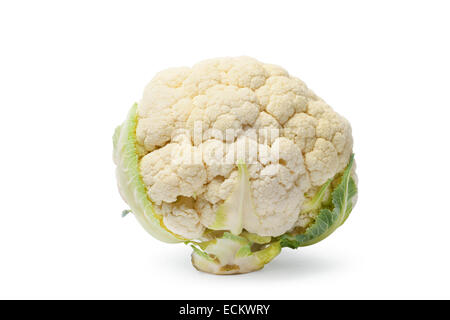 One ripe cauliflower, isolated on white background. Stock Photo