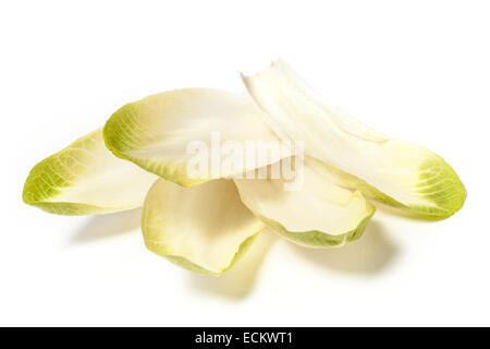 Several chicory leafs isolated on white background. Stock Photo