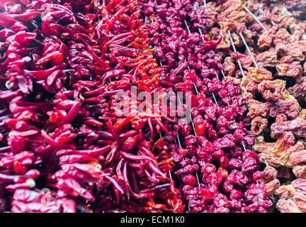 Different kinds of dried red hot peppers. Stock Photo