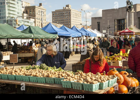 People shop in the late autumn at the Grand Army Plaza farmers market in Brooklyn, NY. Stock Photo