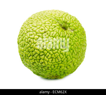 Monkey brain fruit on a white background Stock Photo