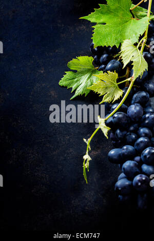 Food background with Fresh Grapes.  Lots of copy space. Stock Photo