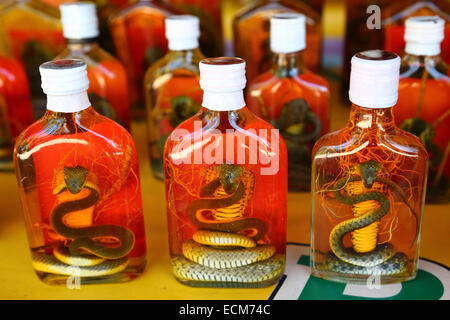 Bottles of snake whiskey in Donsao Island village in Laos at the Golden Triangle where Thailand, Myanmar and Laos borders meet a Stock Photo