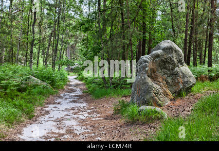 クロード・モネ、Road in the Forest of Fontainebl Fontainebleau forest: Gorges du Houx - Mont Aigu, Seine-et