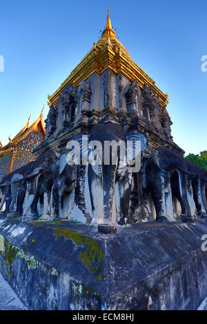 Gold topped elephant chedi at Wat Chiang Man Temple at sunset in Chiang Mai, Thailand Stock Photo