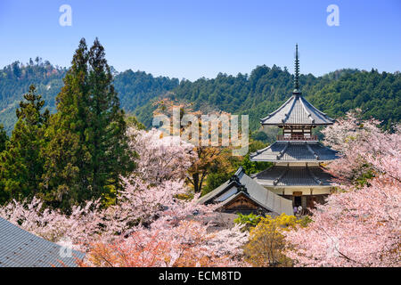 Yoshino, Japan at Kinpusenji Temple. Stock Photo