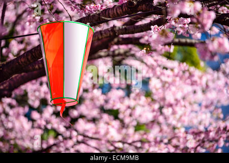 Tokyo, Japan cherry trees and lantern in Ueno Park. Stock Photo