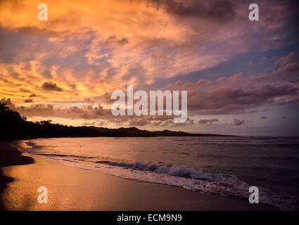 Golden clouds at sunset reflecting off wet beach sand Maimon Bay Riu beach resort Dominican Republic Stock Photo
