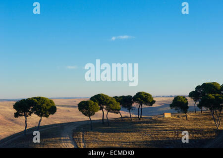 Landscape near Belmonte, Cuenca province, Castilla-La Mancha, Spain, Europe Stock Photo