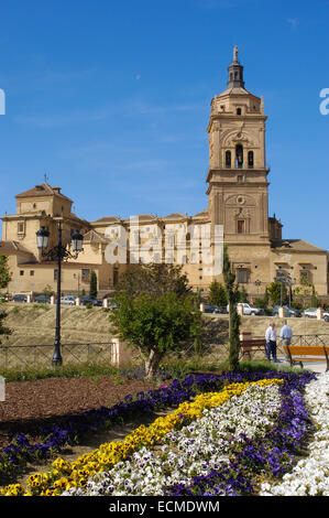 Cathedral of Guadix, El Marquesado area, 16th century, Granada, Spain, Europe Stock Photo