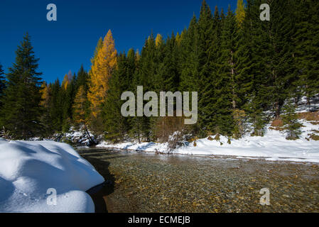 Autumn in the Park Riedingtal nature park, autumn colours, larches, first snow, Riedingbach, Zederhaus, Lungau, Salzburg Stock Photo