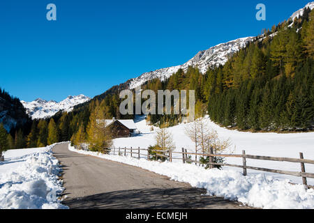 Autumn in the Park Riedingtal nature park, autumn colours, larches, first snow, Zederhaus, Lungau, Salzburg, Austria Stock Photo