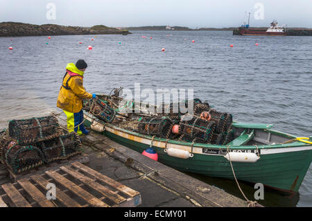 Burtonport, County Donegal, Ireland. 17th December 2014. Exports of Irish seafood to countries such as China have increased by over 300 percent since 2011 according to the Minister for Agriculture Food & the Marine, Simon Coveney T.D. . A lobster fisherman brings pots back ashore for storage during the winter. Photo by:Richard Wayman/ Alamy Live News Stock Photo