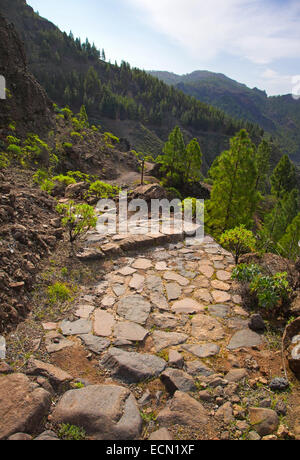 Gran Canaria, Caldera de Tejeda, winter rains turning the landscape green, footpath camino real to La Culata Stock Photo