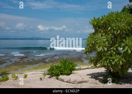 Melanesia, New Guinea, Papua New Guinea. Small island of Ali off the coast of mainland PNG. Coastal island view. Stock Photo