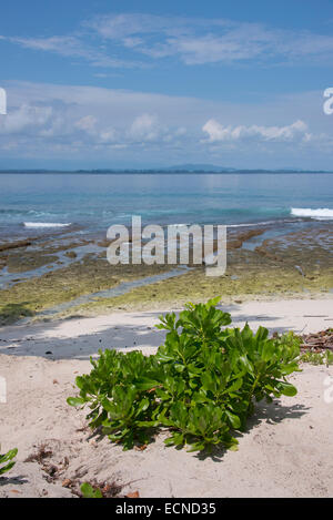 Melanesia, New Guinea, Papua New Guinea. Small island of Ali off the coast of mainland PNG. Coastal island view. Stock Photo